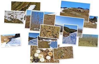 Vizualizare album Vizualizare album