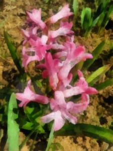 20110326_21_DAP_Aquarell