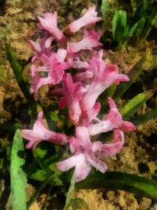 20110326_21_DAP_Book