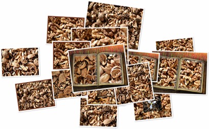 Vizualizare album Vizualizare album