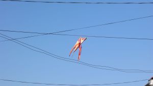 kite hanging in wires