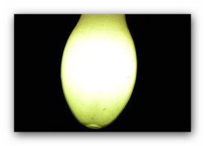 bec cu umbra purtata