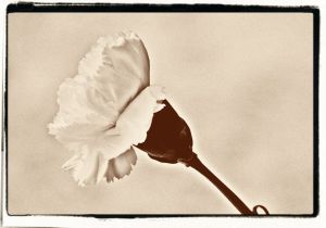 old photo picture frame