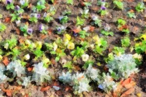 DSC_00171_DAP_Aquarell