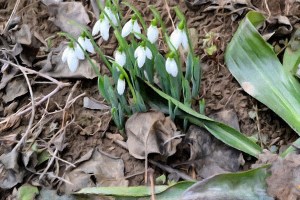 FotoSketcher - DSC_0014