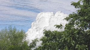 OLYMPUS DIGITAL CAMERA