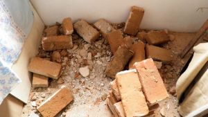 OLYMPUS DIGITAL CAMERA