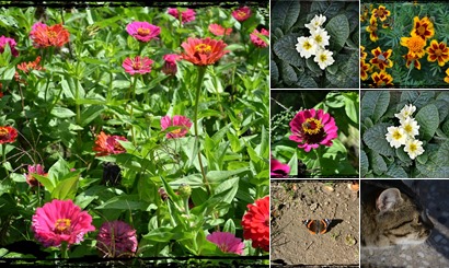 View album View album